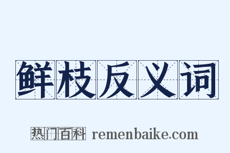 鲜枝反义词是什么意思的图片